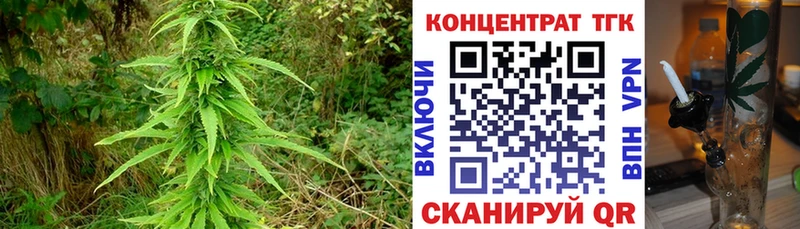 ТГК вейп с тгк Старая Русса
